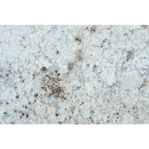 Siena Beige Granite - granite countertop